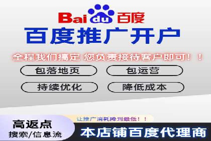百度推广成功之路：从零到一的实战案例记录